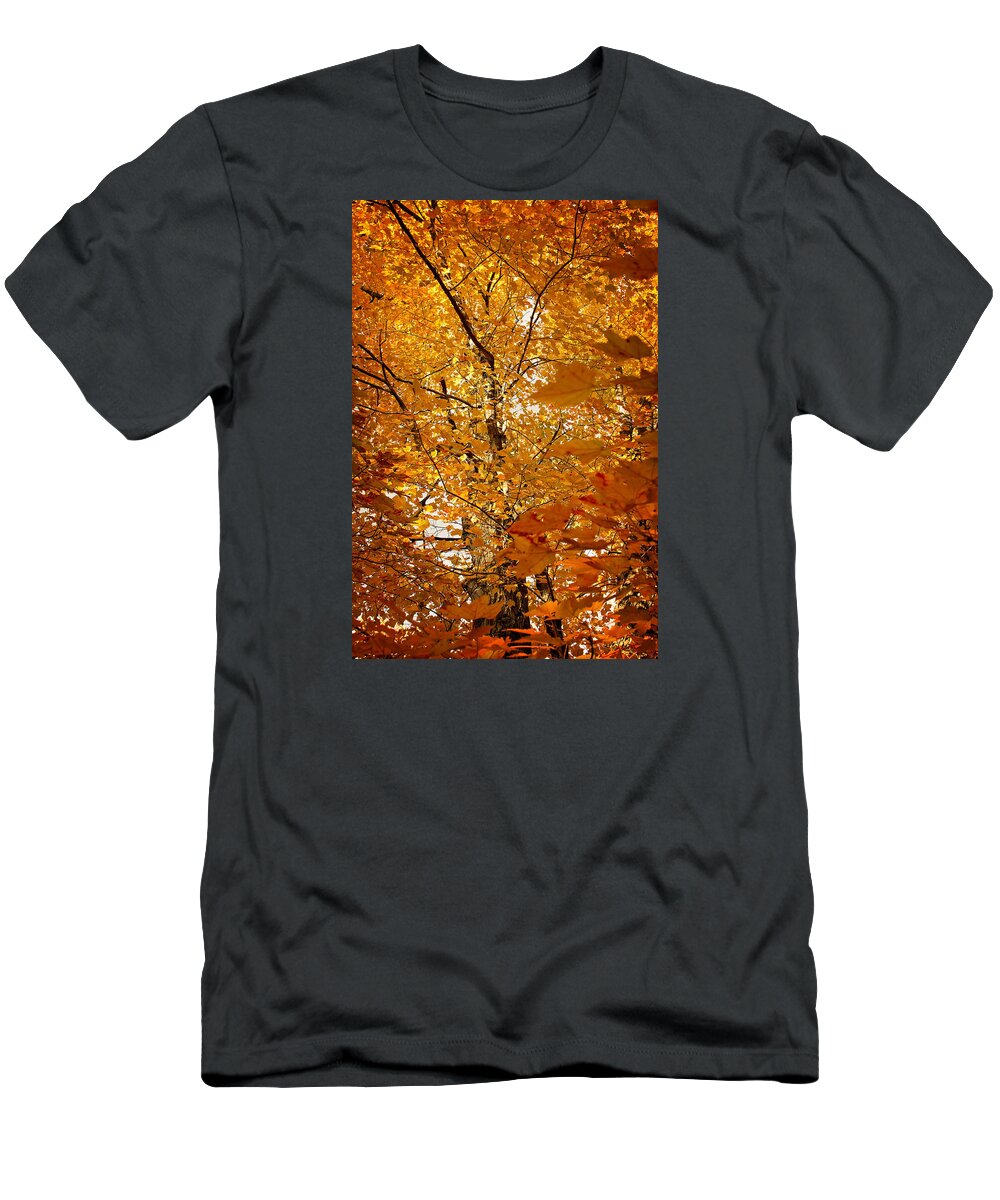 Autumn Print T-Shirt featuring the photograph An Autumn Day by Gwen Gibson