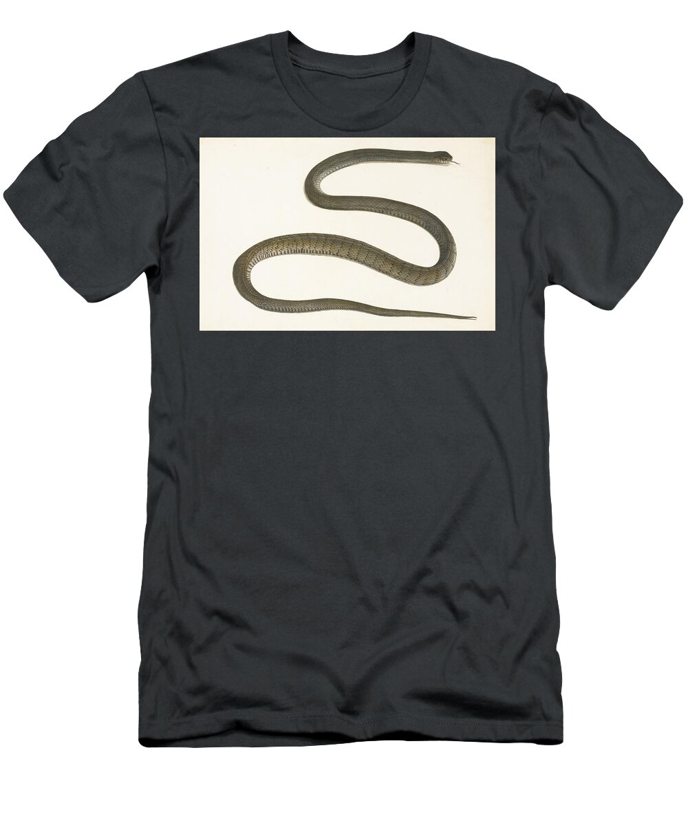 An Indian Brown And Grey Snake T-Shirt featuring the painting An Indian brown and grey snake by Eastern Accents