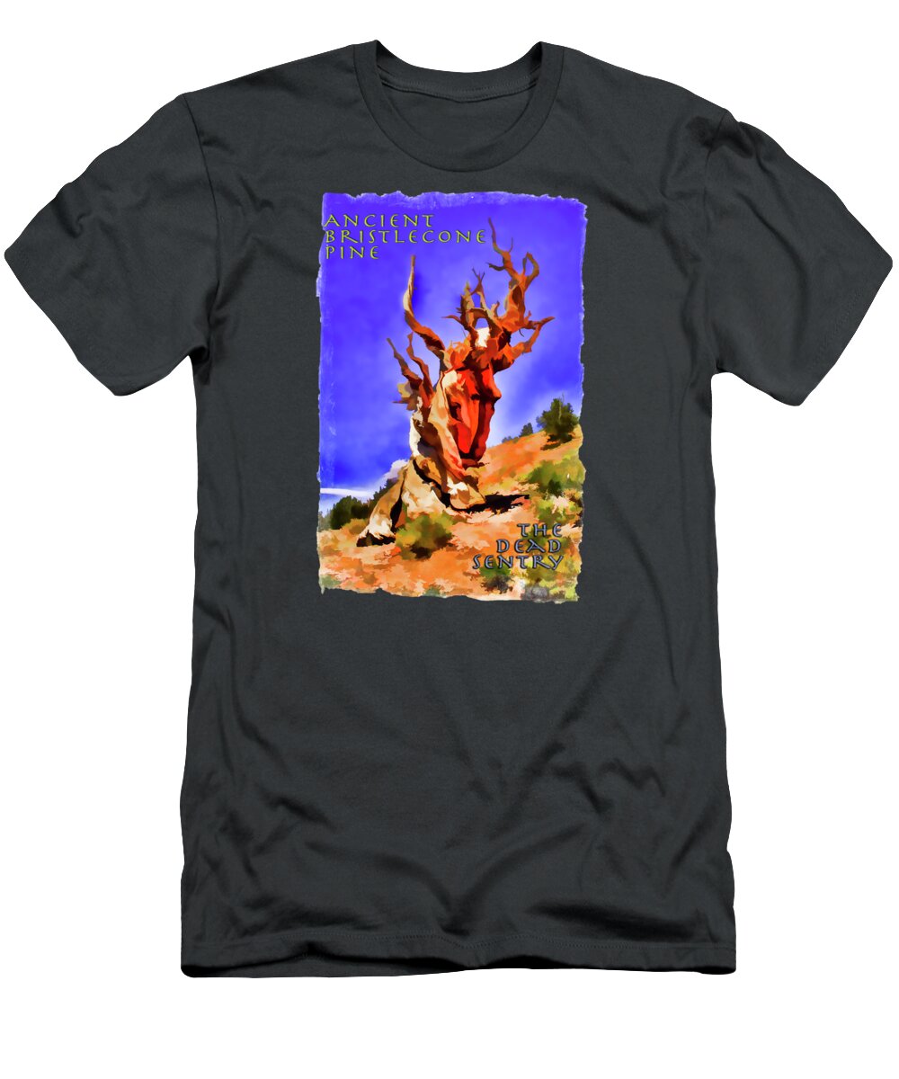 California T-Shirt featuring the photograph Ancient Bristlecone Pine by Roger Passman