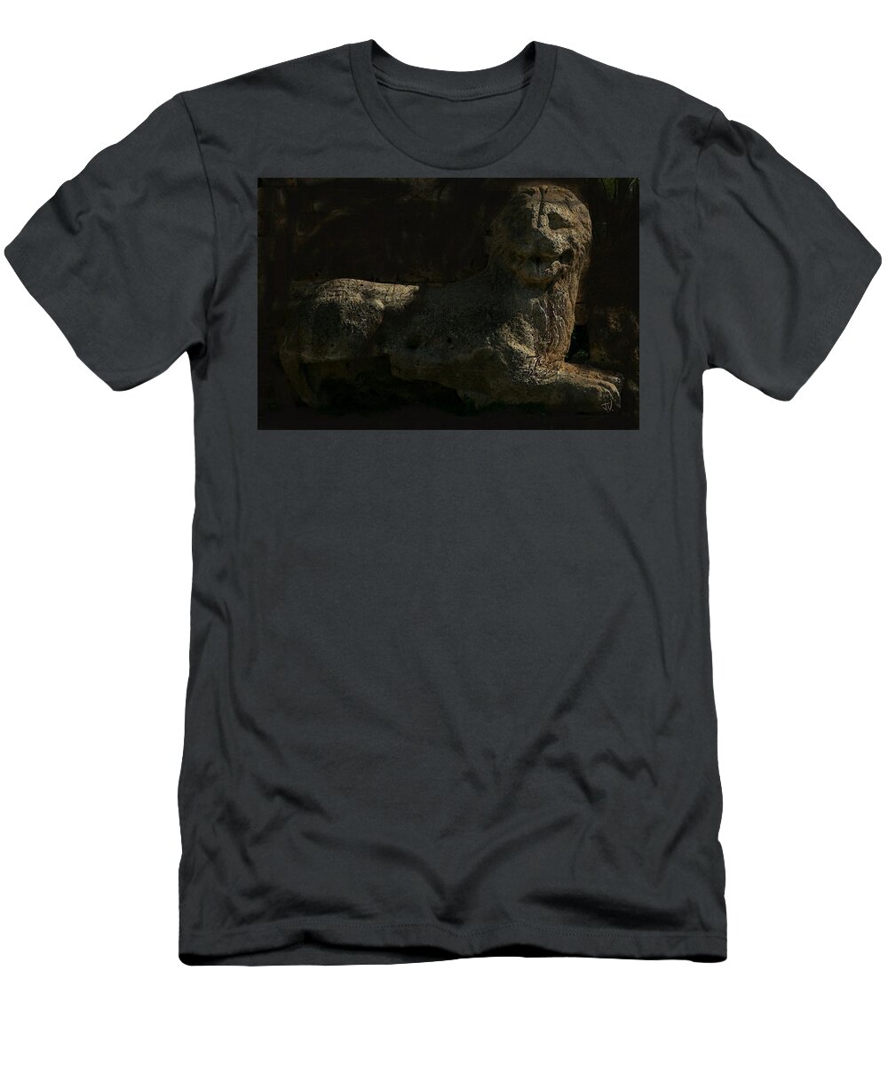 Sculpture T-Shirt featuring the photograph Ancient Lion - Nocisia by Jim Vance