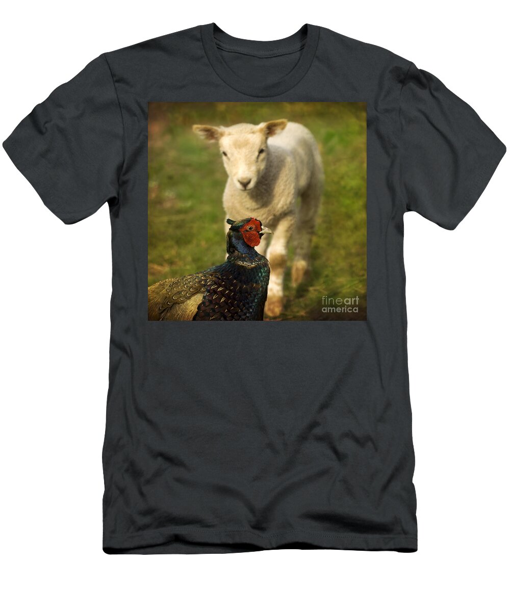Lamb T-Shirt featuring the photograph And Who Are You by Ang El
