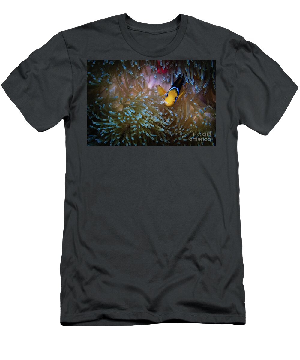 Bora Bora T-Shirt featuring the photograph Anemonefish by Doug Sturgess