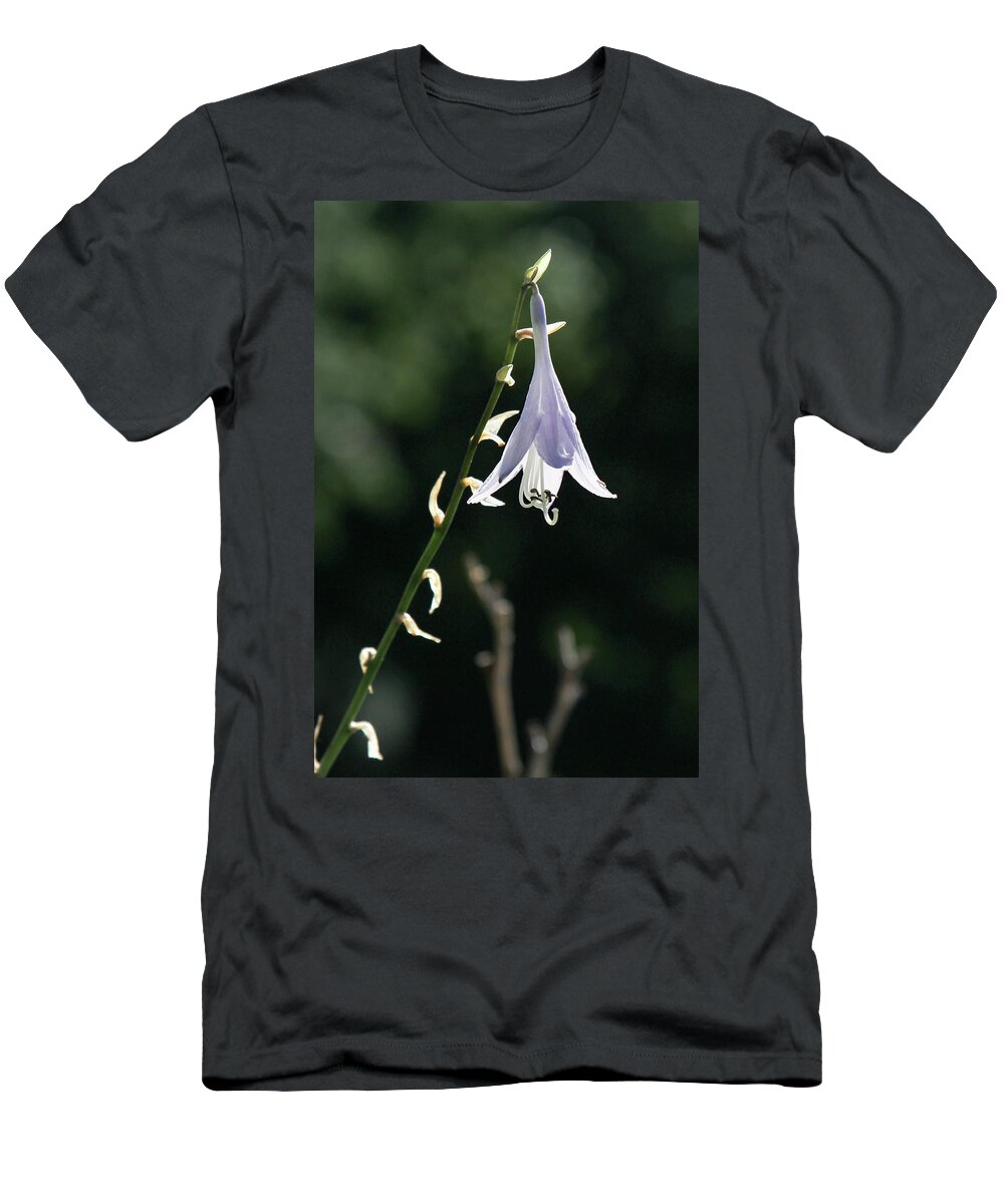 Flower T-Shirt featuring the photograph Angel's Fishing Rod by Darryl Hendricks