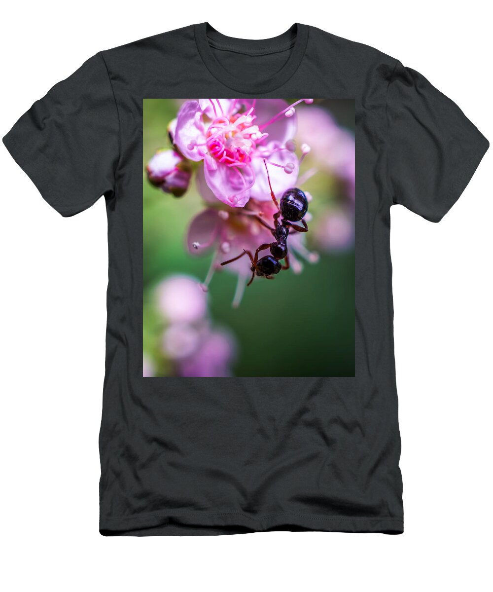 Ant On The Pink Flower T-Shirt featuring the photograph Ant on the pink flower by Lilia D