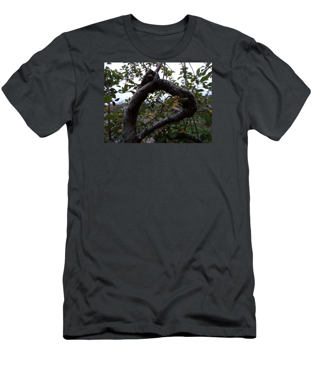  T-Shirt featuring the photograph Apple Tree by Stephanie Piaquadio