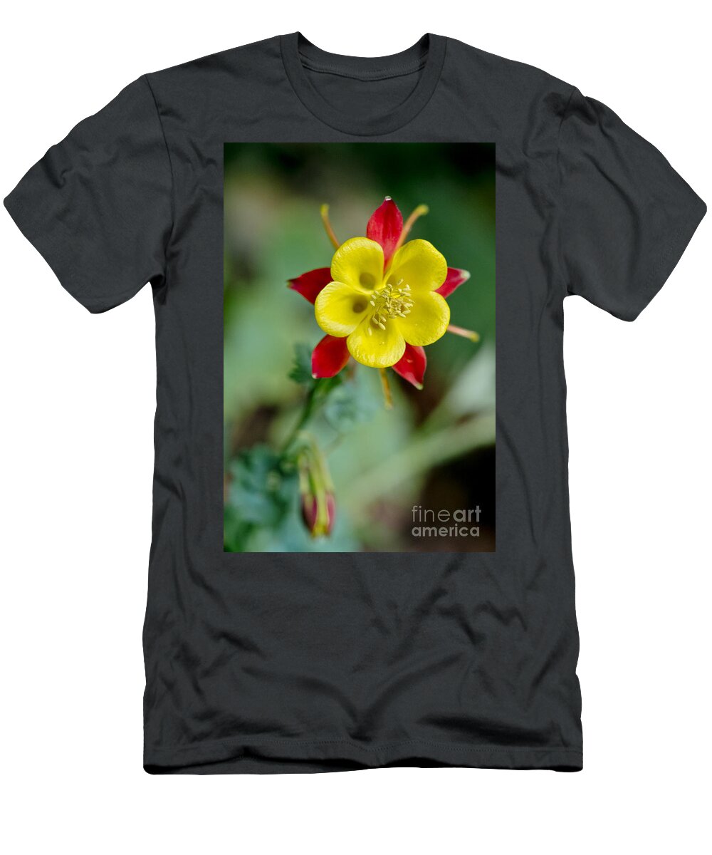 Flowers T-Shirt featuring the photograph Aquilegia by Elena Perelman