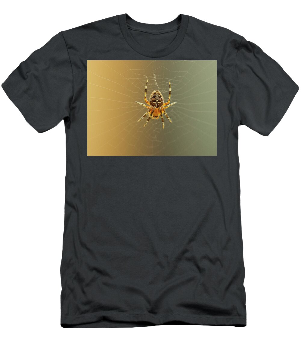 Spider T-Shirt featuring the photograph Araneus diadematus by Morgan Wright