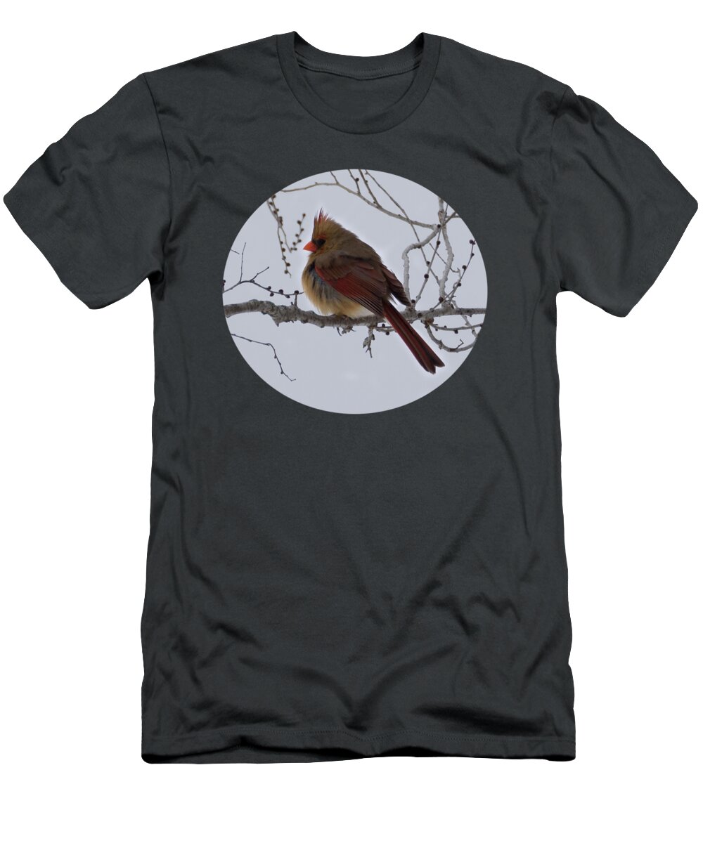 Northern Cardinal T-Shirt featuring the photograph Female Northern Cardinal by Holden The Moment