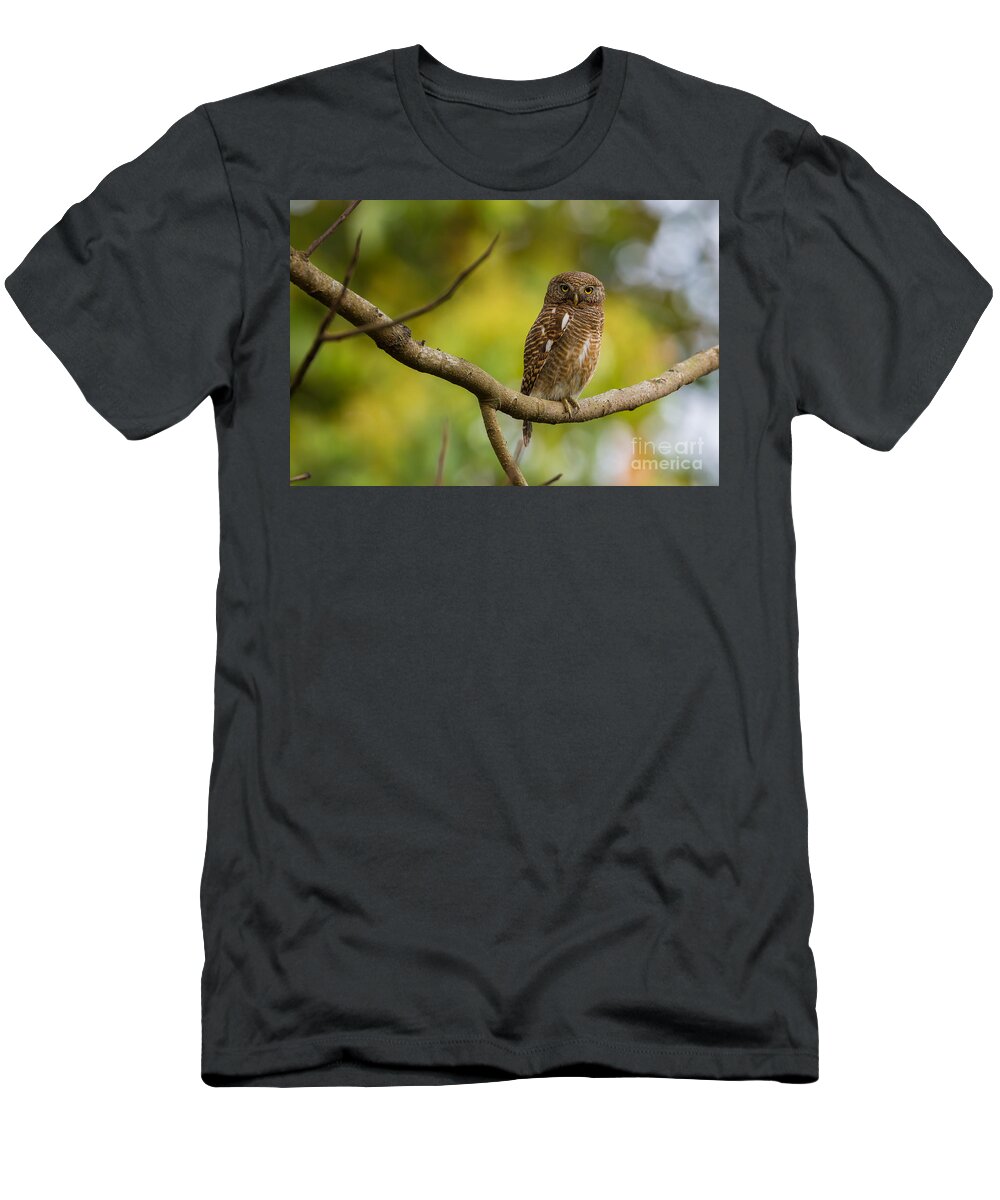 Asian Barred Owlet T-Shirt featuring the photograph Asian Barred Owlet, India by B. G. Thomson
