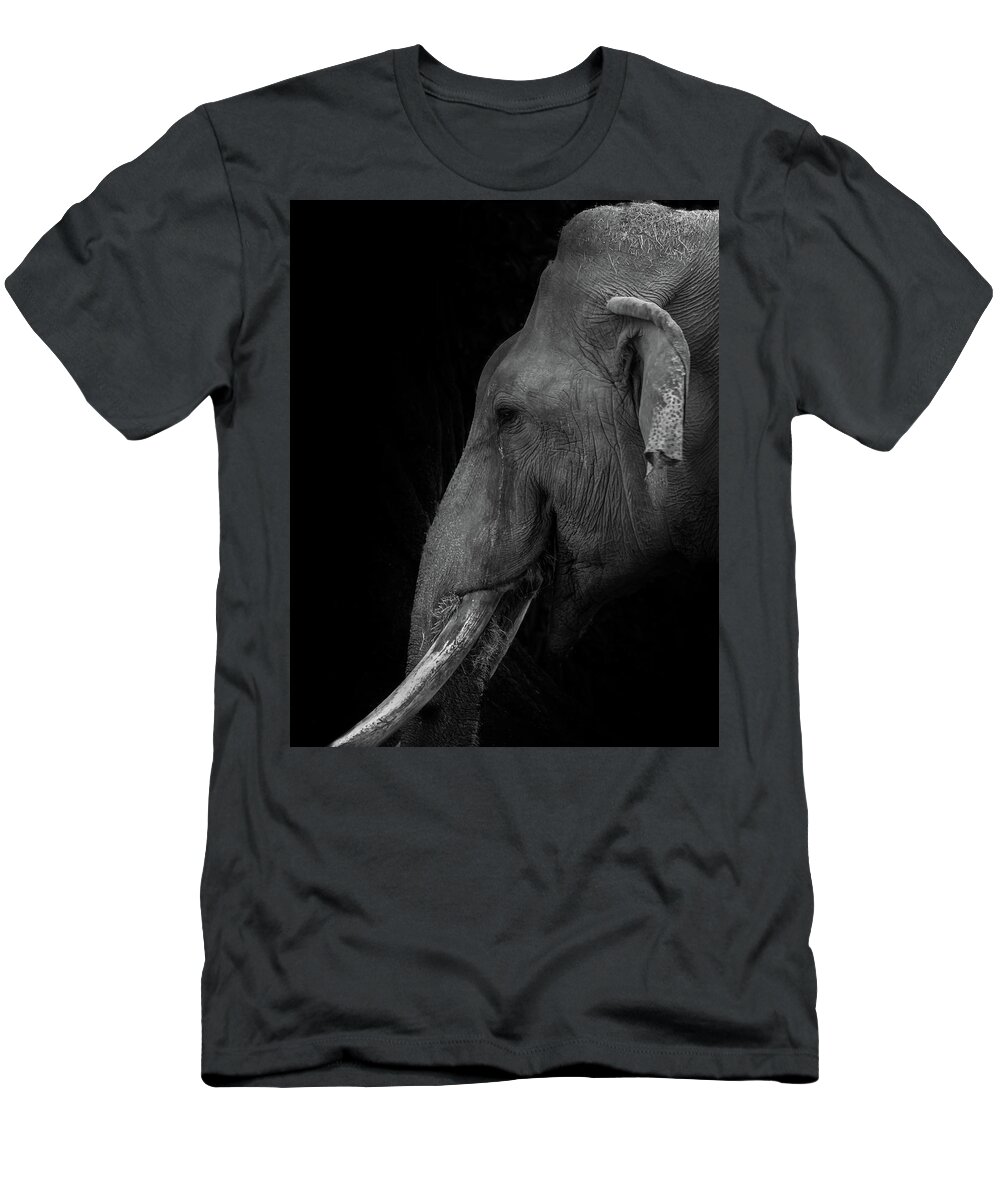 Elepant T-Shirt featuring the photograph Asian Elephant by Jaime Mercado