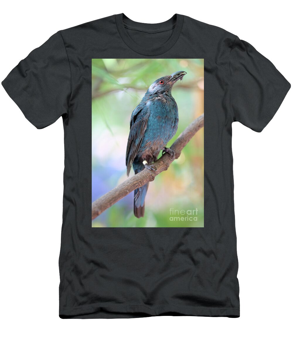 Bird T-Shirt featuring the photograph Asian Fairy Bluebird by Baggieoldboy