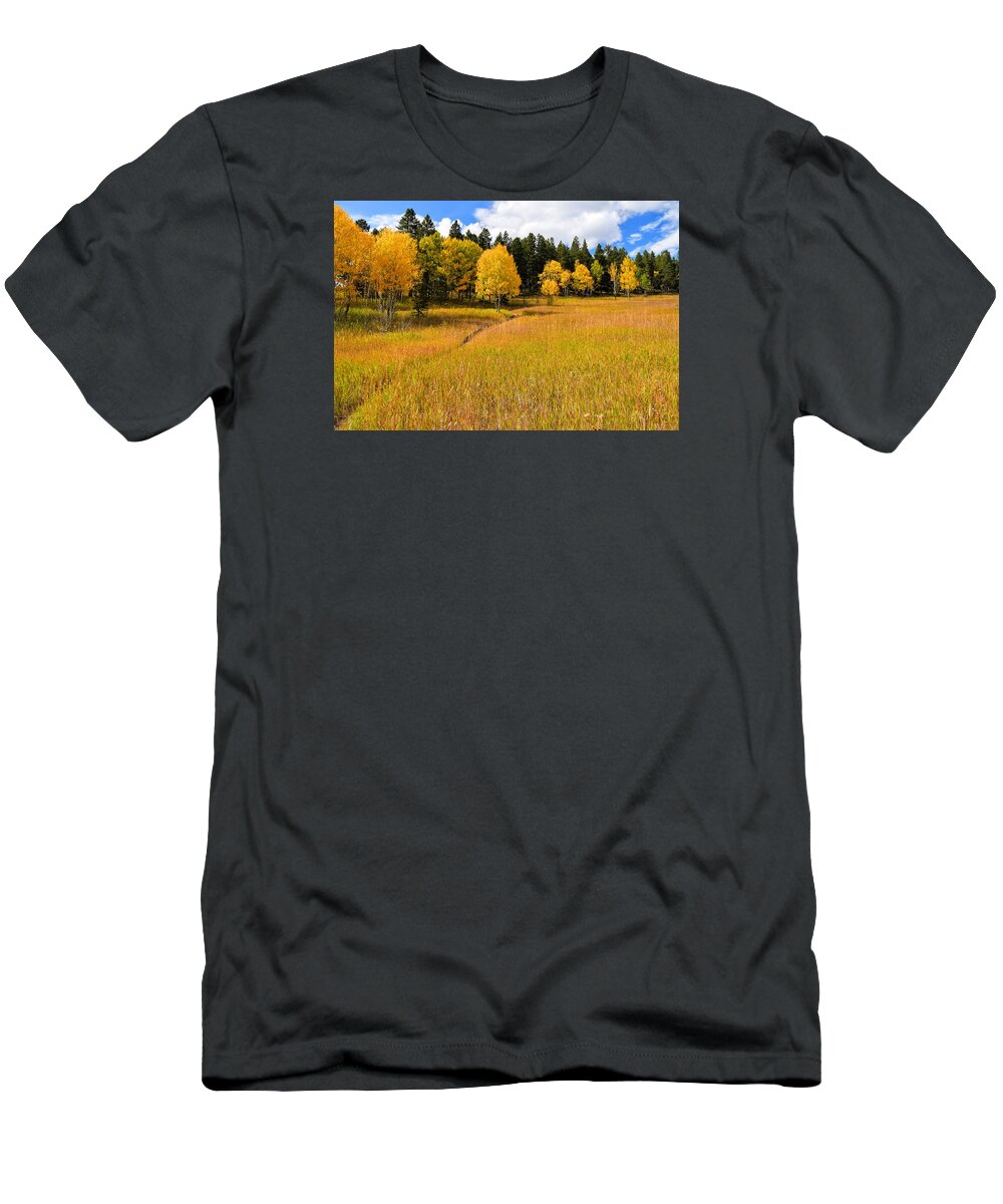 Aspen Meadow T-Shirt featuring the photograph Aspen Meadow by Michael Brungardt