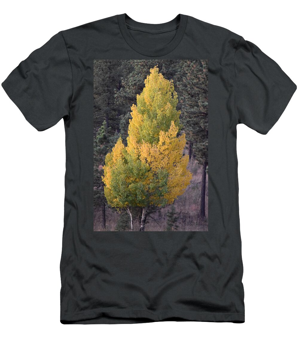Aspen T-Shirt featuring the photograph Aspen Tree Fall Colors CO by Margarethe Binkley