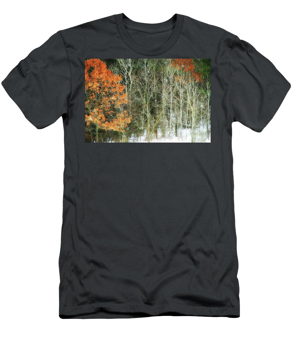 Trees T-Shirt featuring the photograph Aspens and Color by Clare VanderVeen