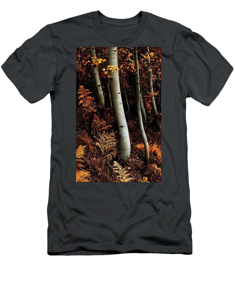 Aspens T-Shirt featuring the photograph Aspens in Red by David Soldano