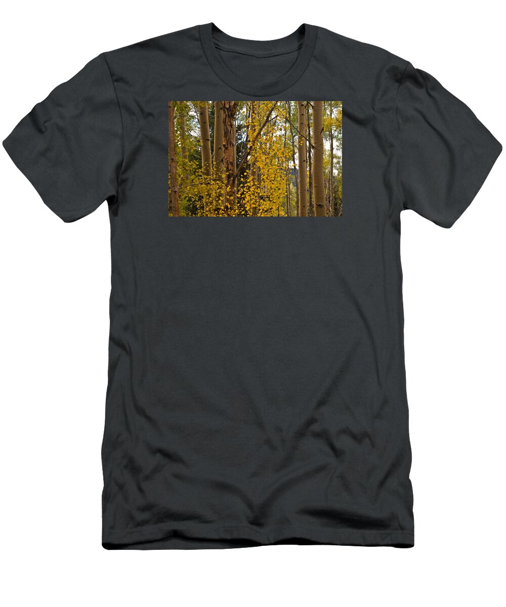 Aspens T-Shirt featuring the photograph Aspens Santa Fe 5 by James Gay