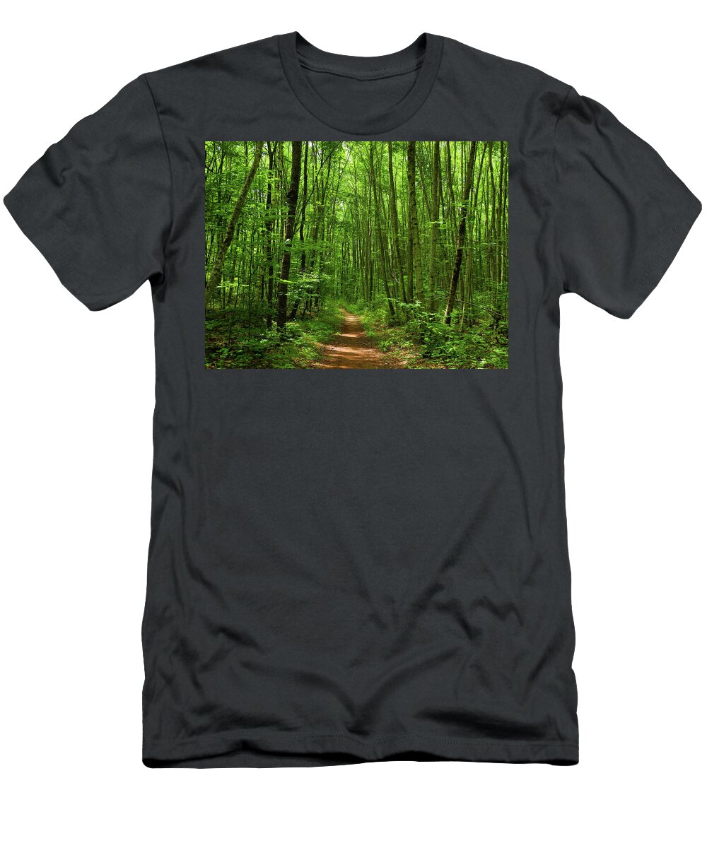 At In Ct T-Shirt featuring the photograph AT in Connecticut's Tall Trees by Raymond Salani III