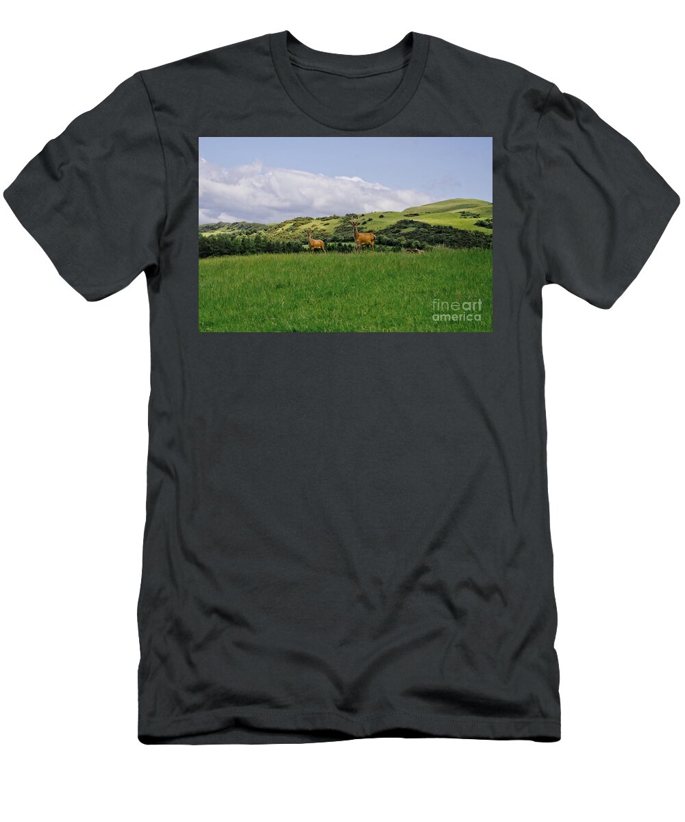 Beecraigs T-Shirt featuring the photograph At the hill bottom. by Elena Perelman