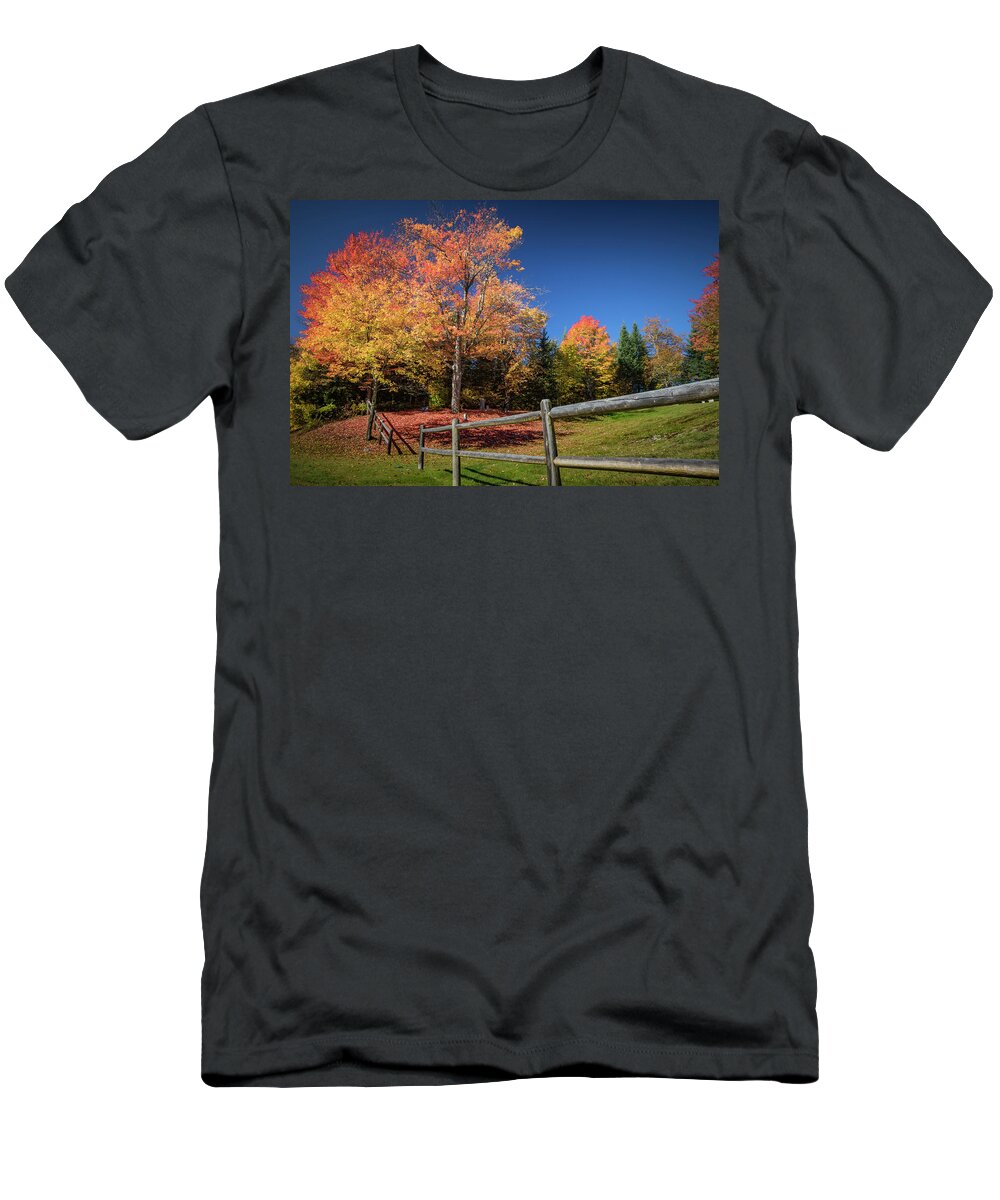 New Hampshire T-Shirt featuring the photograph Autumn Color by Colin Chase