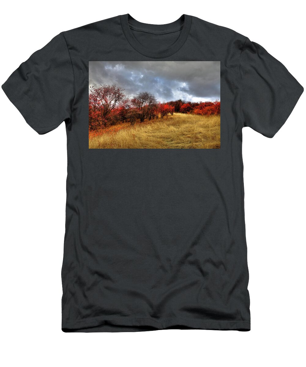 Autumn Colors At Magpie Forest T-Shirt featuring the photograph Autumn Colors at Magpie Forest by David Patterson