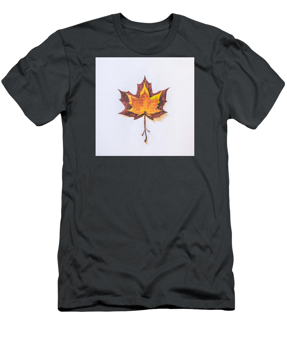 Autumn Colours T-Shirt featuring the photograph Autumn Fire by Kate Morton