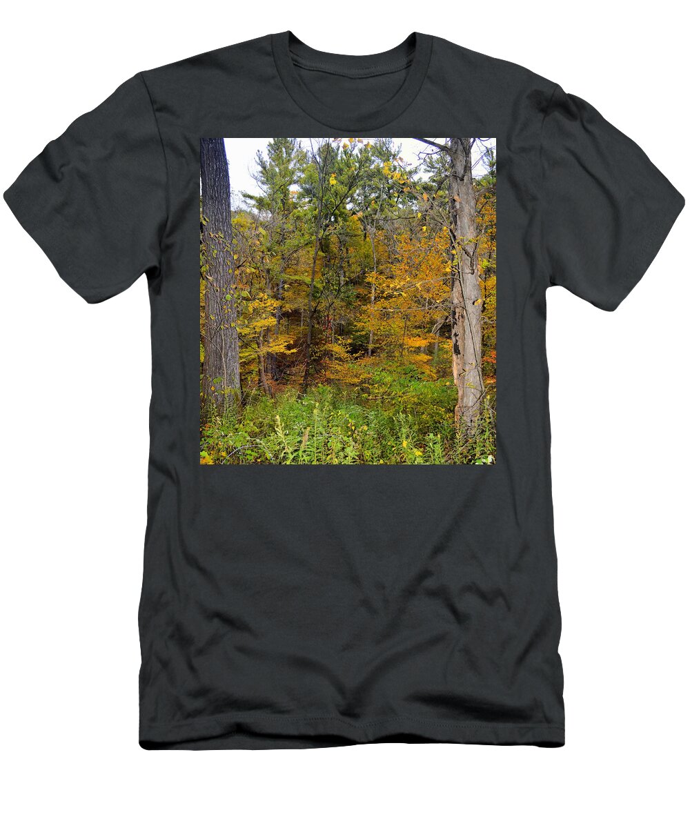 Ia T-Shirt featuring the photograph Autumn Forest by Bonfire Photography
