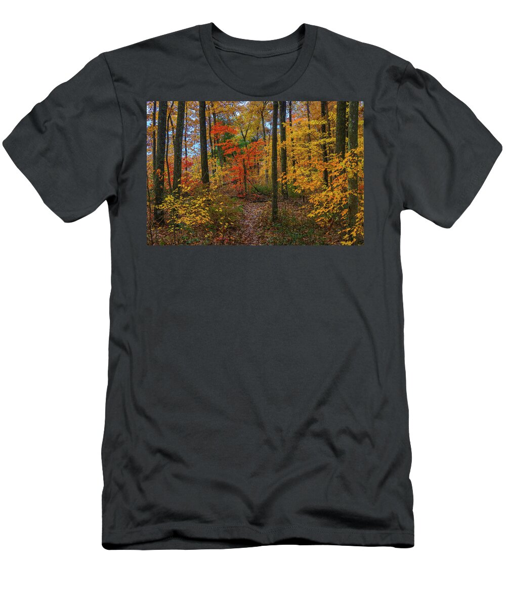 Forest T-Shirt featuring the photograph Autumn forest hike by Ulrich Burkhalter