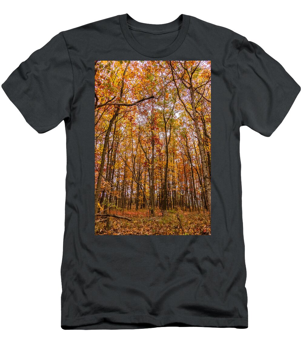 Trees T-Shirt featuring the photograph Autumn forest by SAURAVphoto Online Store