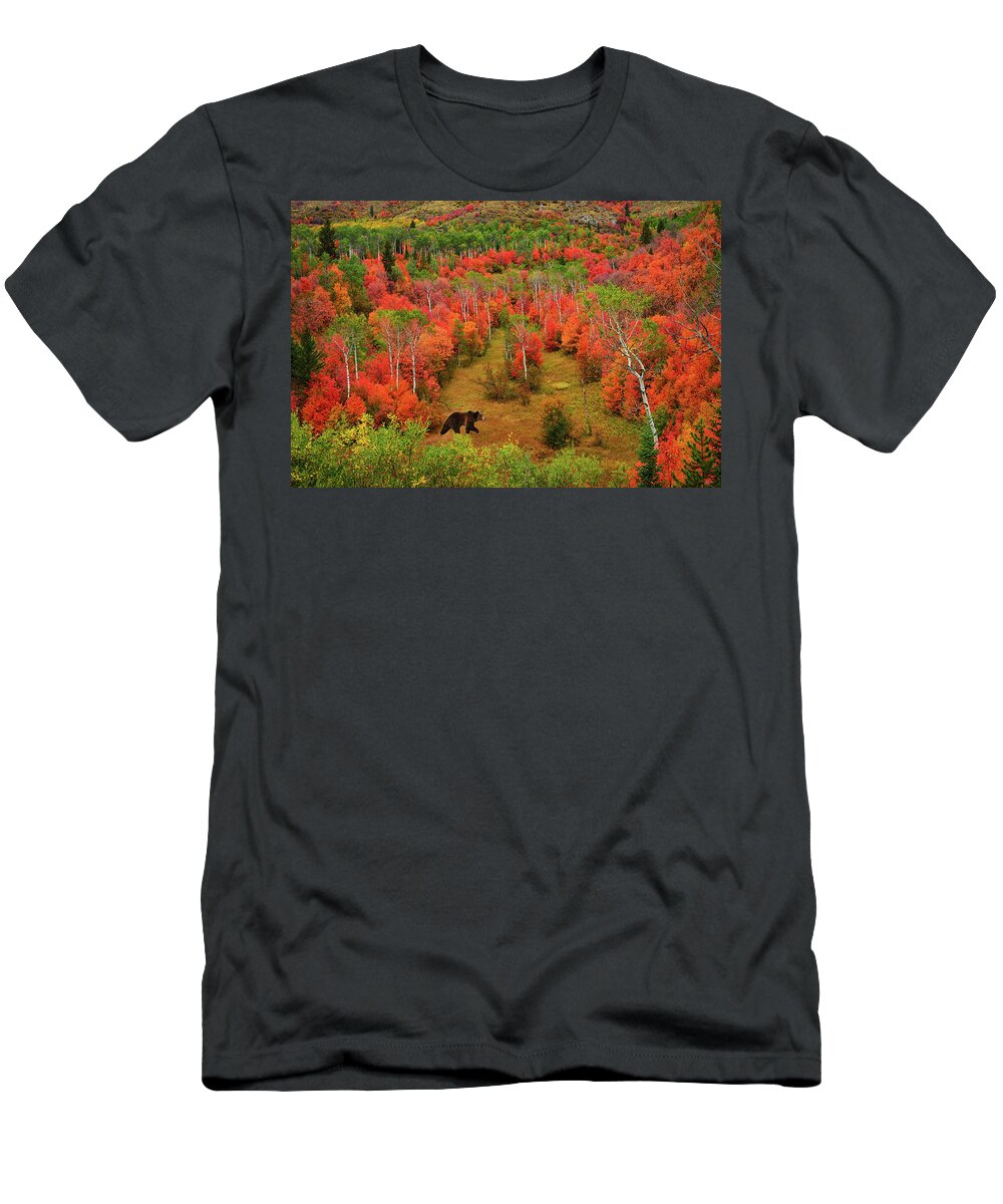 Autumn T-Shirt featuring the photograph Autumn Grizzly by Greg Norrell