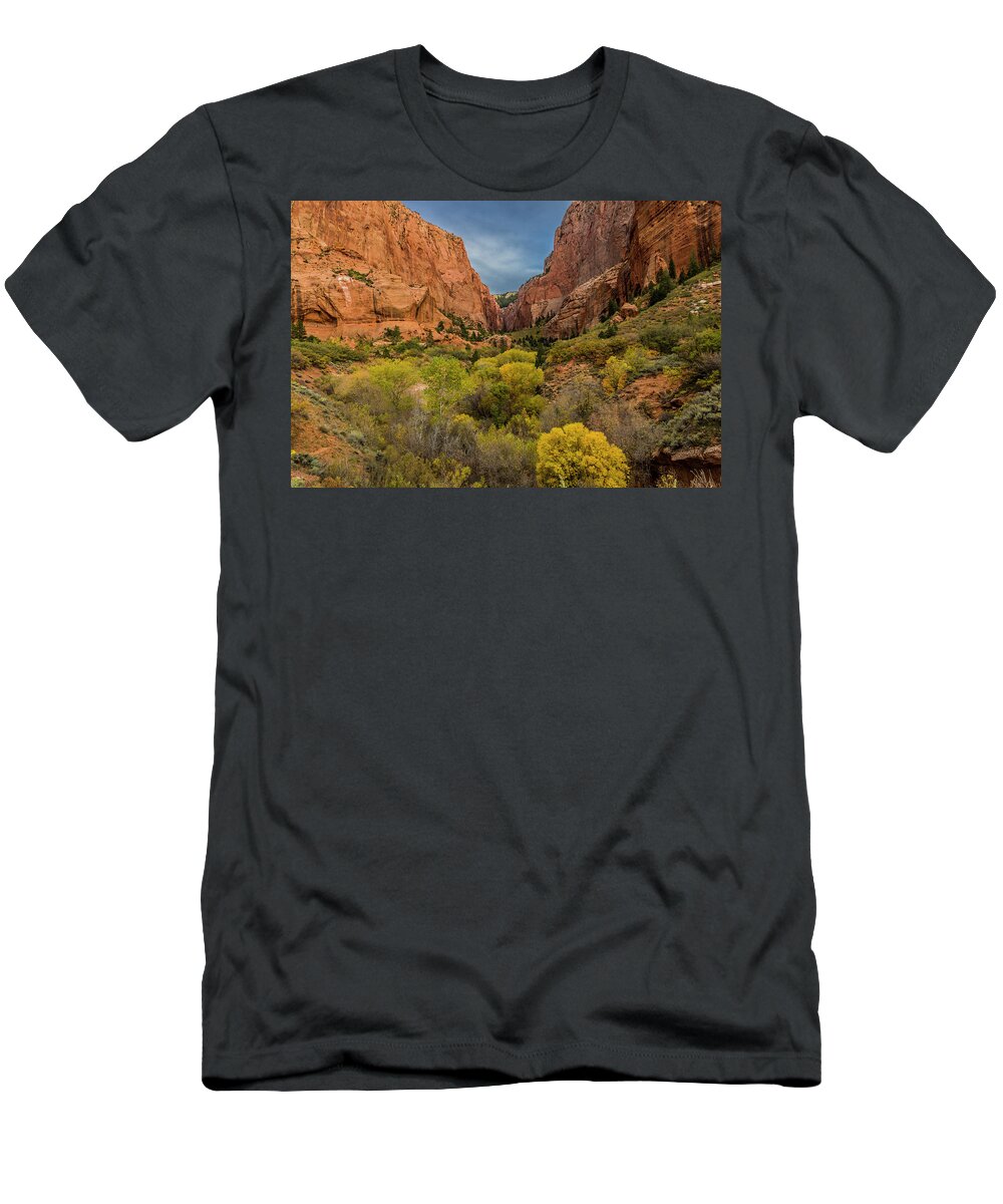 Kolob Canyons T-Shirt featuring the photograph Autumn in Kolob Canyons by Donald Pash