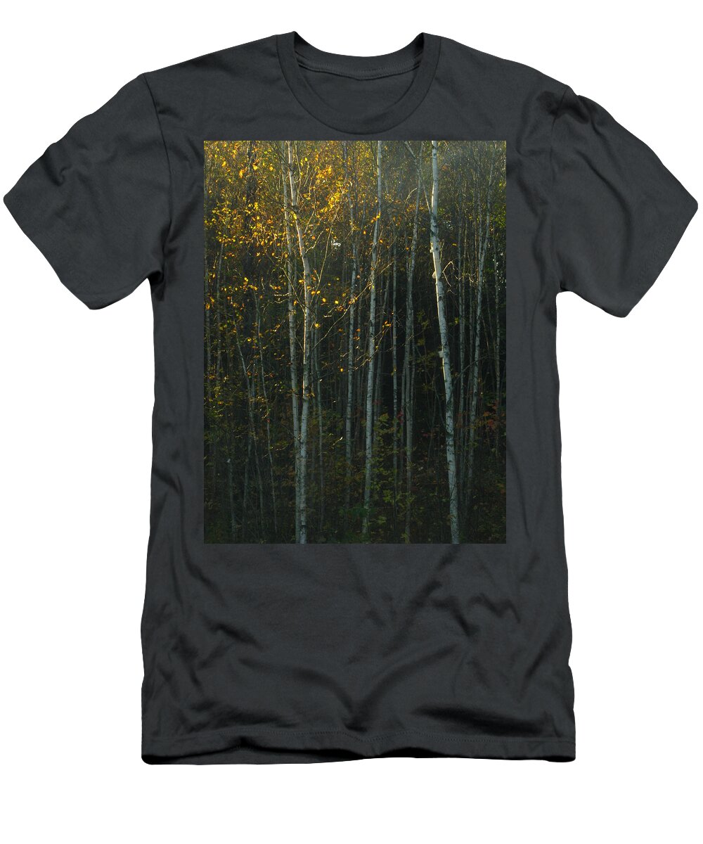 Autumn Light T-Shirt featuring the photograph Autumn Light by Bill Tomsa