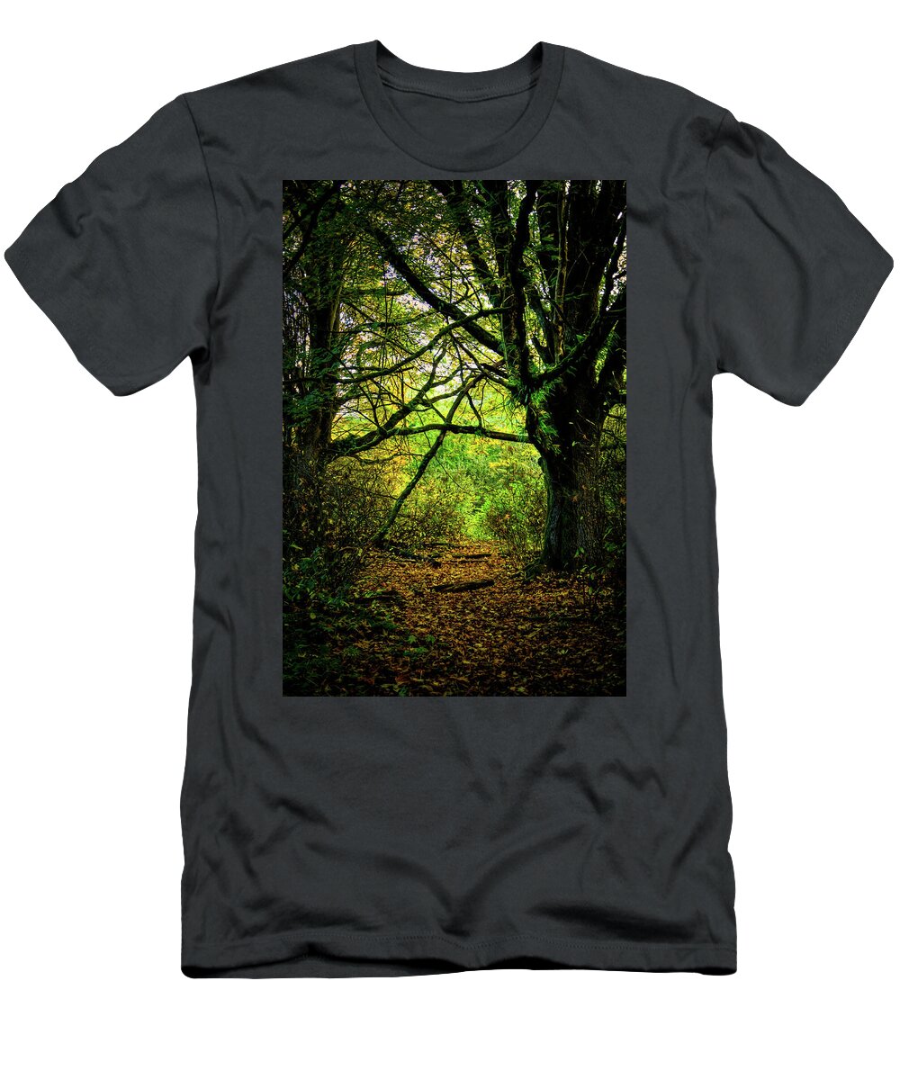 Autumn Light T-Shirt featuring the photograph Autumn Light by David Patterson
