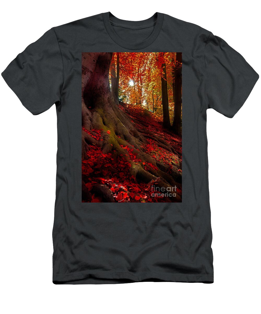 Autumn T-Shirt featuring the photograph Autumn Light by Hannes Cmarits