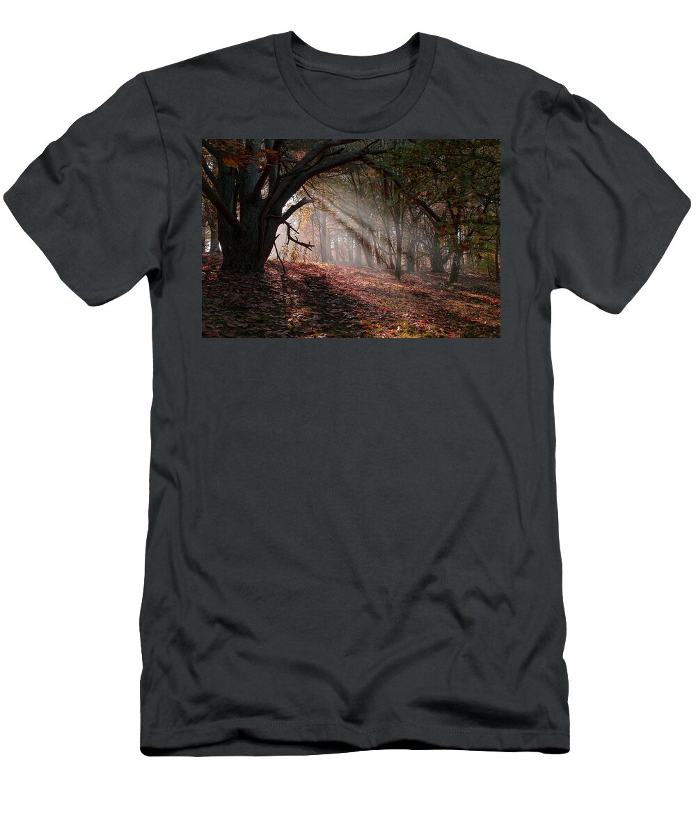 Autumn T-Shirt featuring the photograph Autumn Light by Scott Carruthers