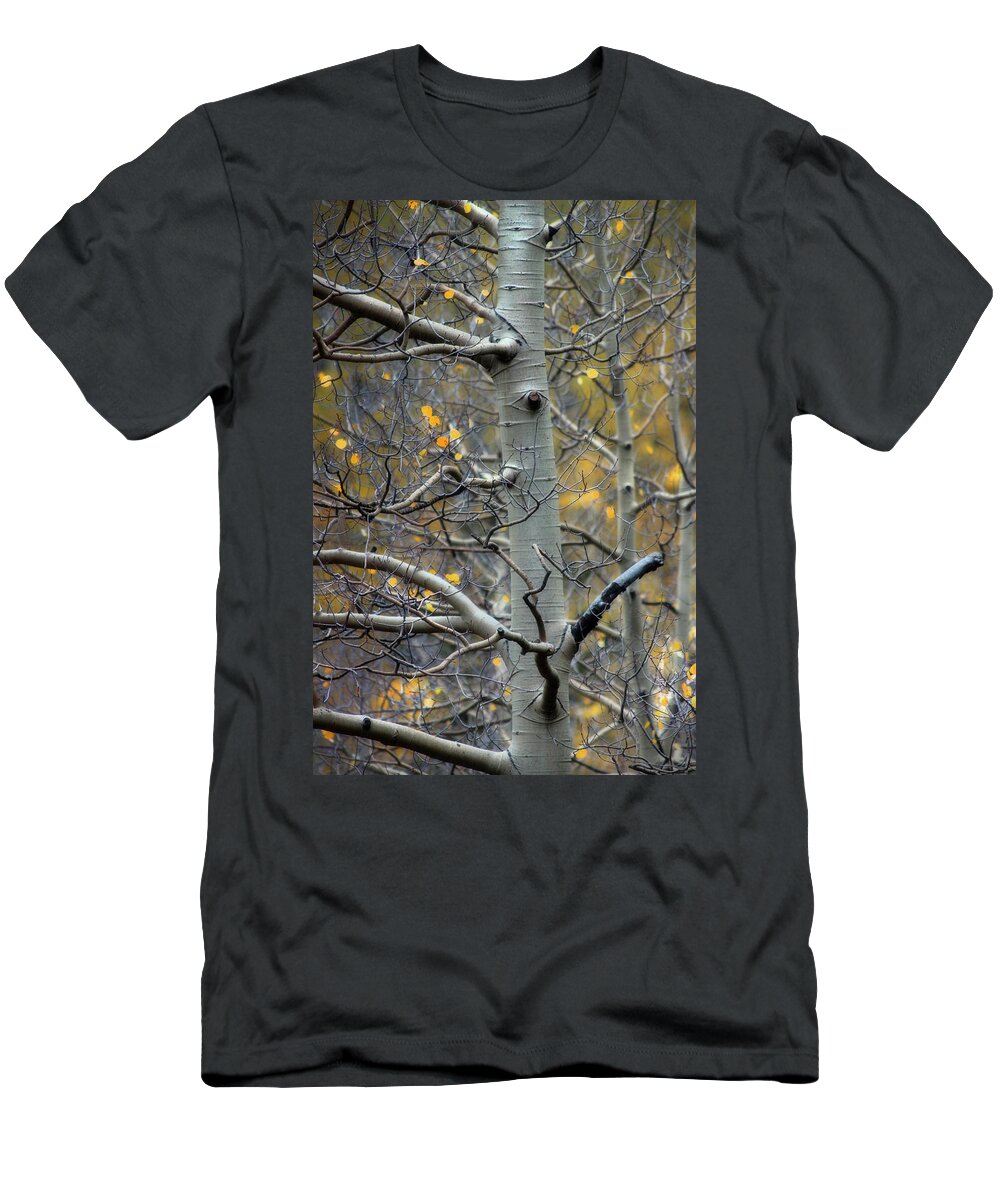 Ellen Heaverlo T-Shirt featuring the photograph Autumn On My Mind by Ellen Heaverlo