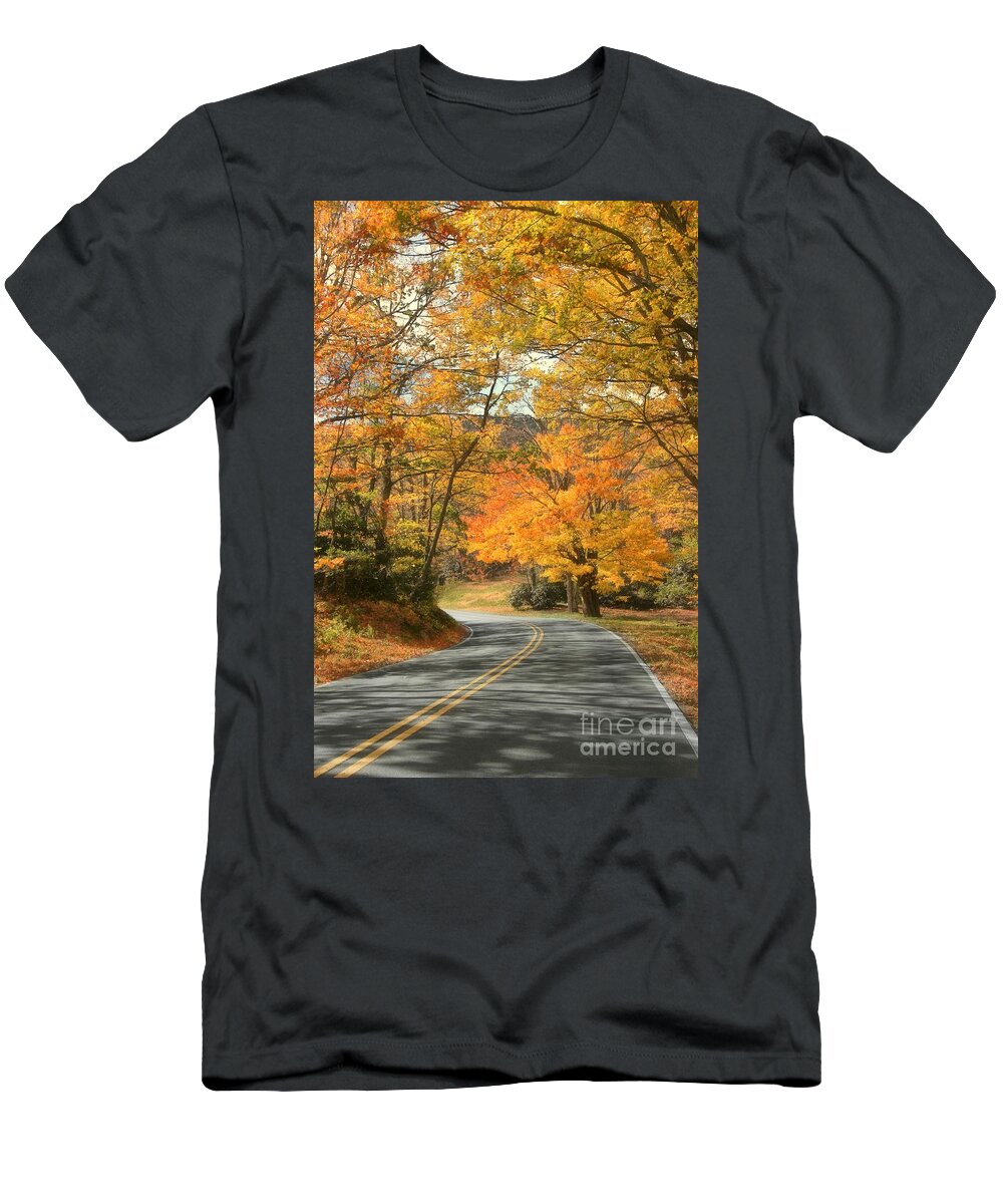 Blue Ridge Parkway T-Shirt featuring the photograph Autumn on the Parkway by Benanne Stiens
