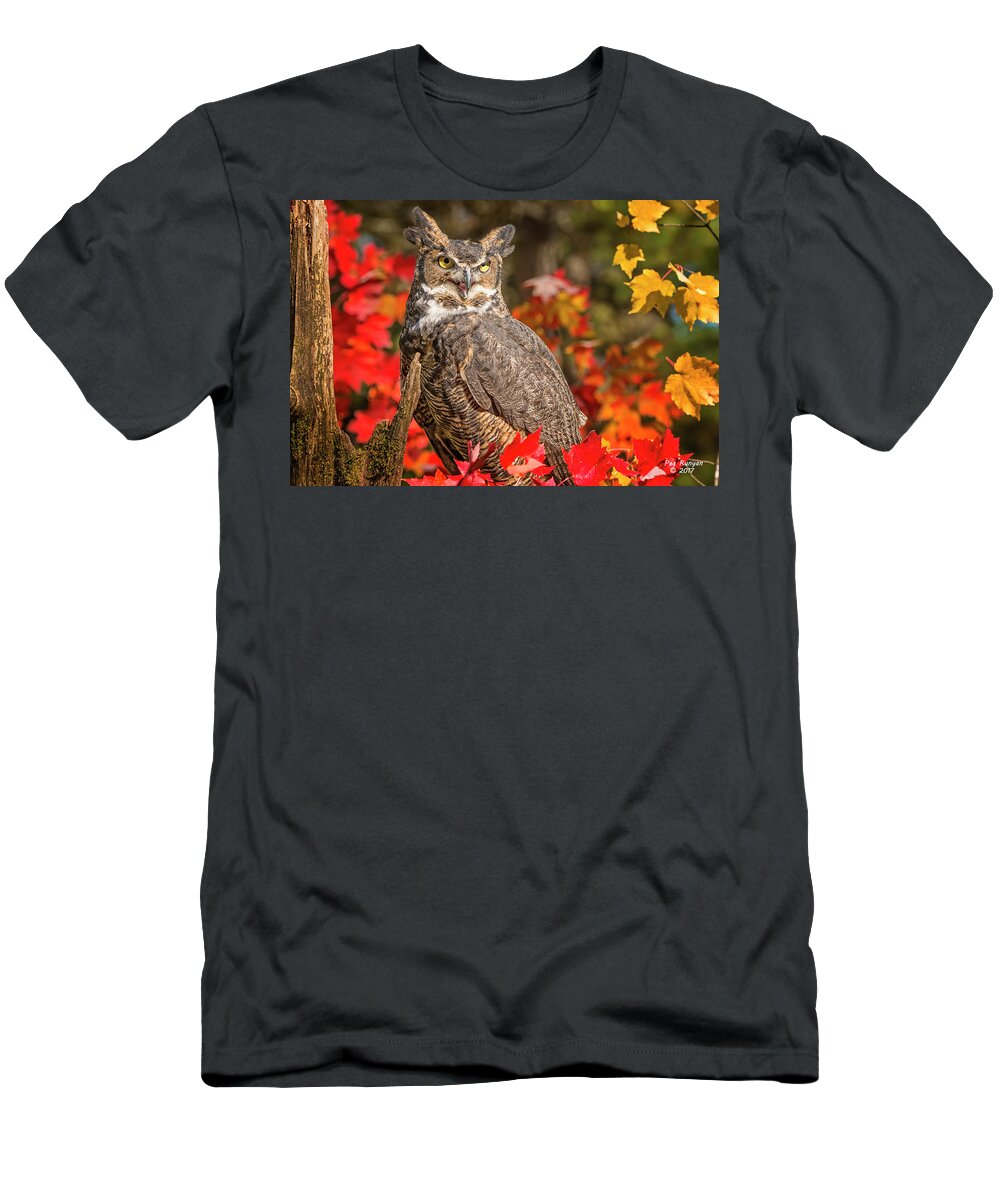 Owl T-Shirt featuring the photograph Autumn Owl by Peg Runyan