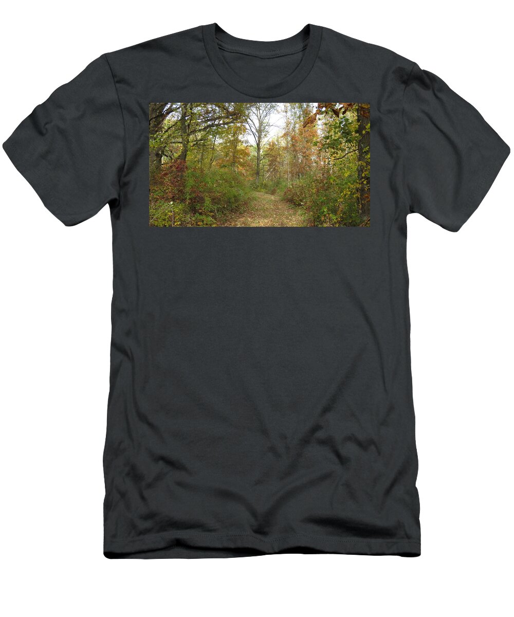 Autumn T-Shirt featuring the photograph Autumn Path by Kimberly Mackowski