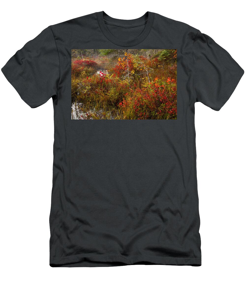 Blue Mountain-birch Cove Lakes Wilderness T-Shirt featuring the photograph Autumn Pond Barrens by Irwin Barrett