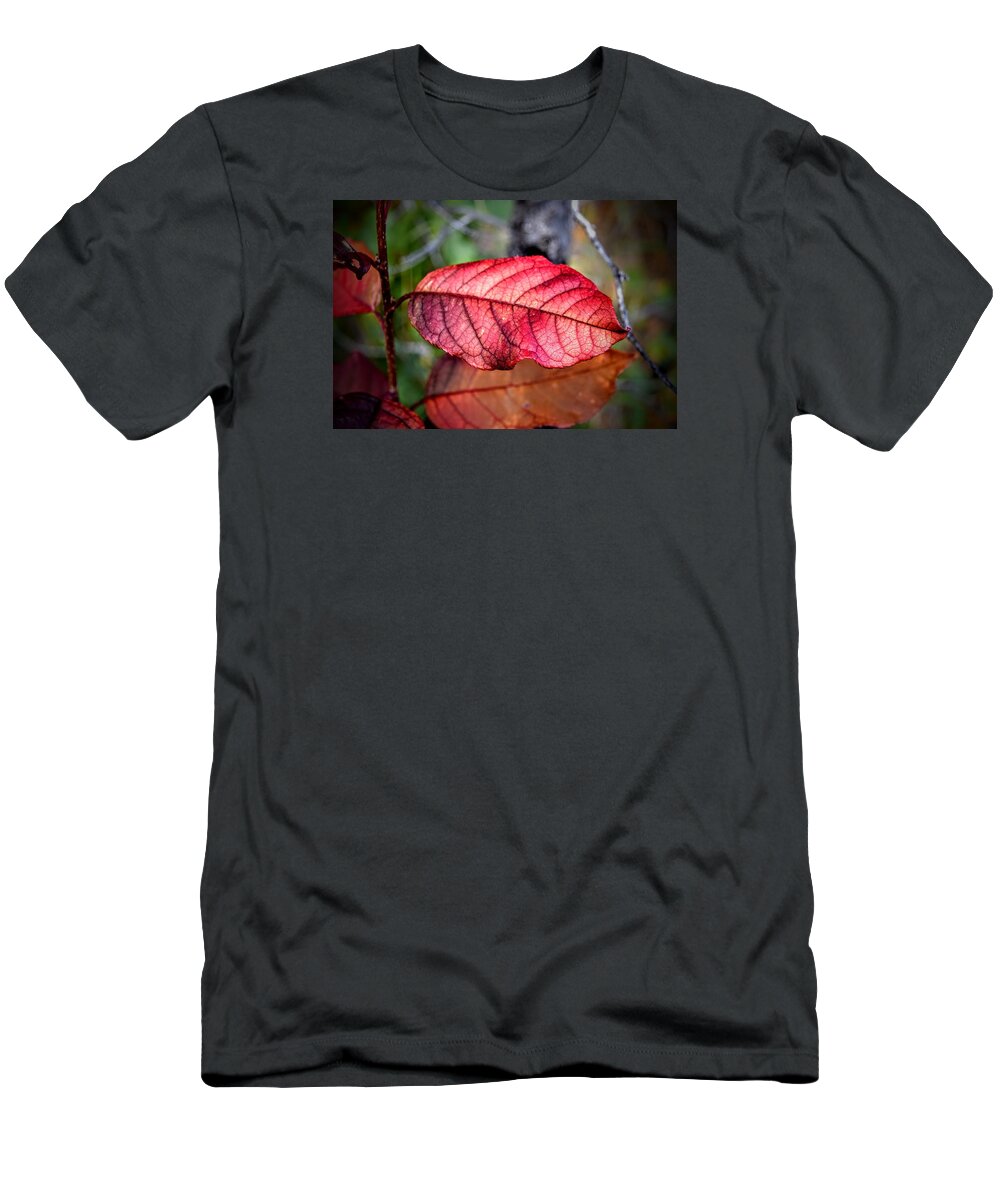 Autumn T-Shirt featuring the photograph Autumn Red by Michael Brungardt