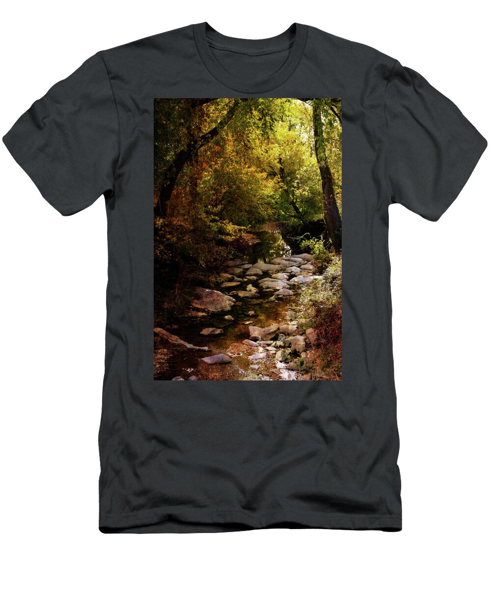 Autumn Stream T-Shirt featuring the photograph Autumn Stream 6163 H_2 by Steven Ward