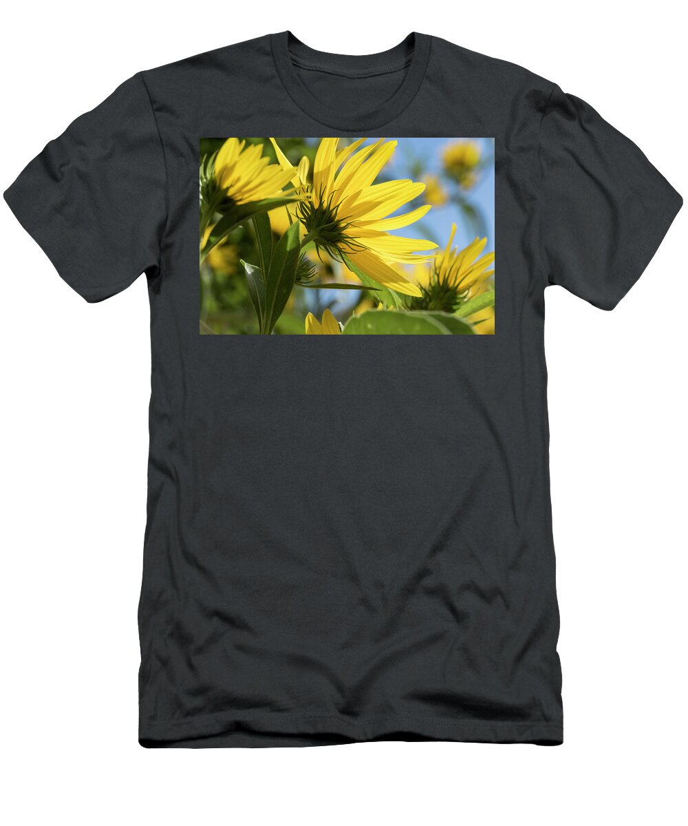 Blue T-Shirt featuring the photograph Autumn Sunshine by Holly Ross