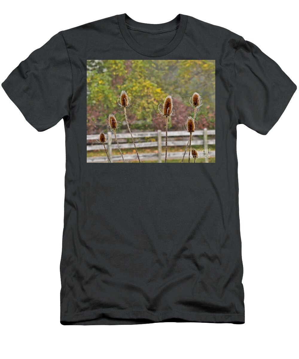 Autumn Teasel T-Shirt featuring the photograph Autumn Teasel by Kerri Farley
