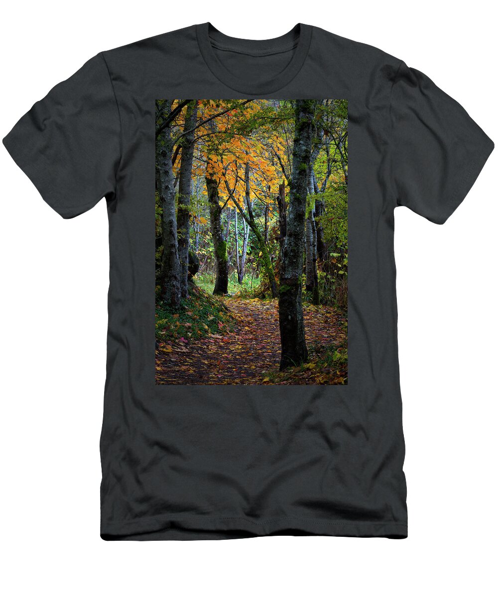 Autumn Trail T-Shirt featuring the photograph Autumn Trail by Randy Hall