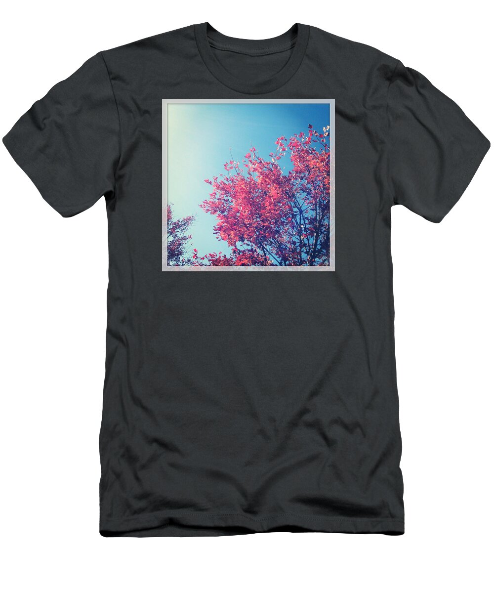  T-Shirt featuring the photograph Autumn Trees and Sky by Will Felix