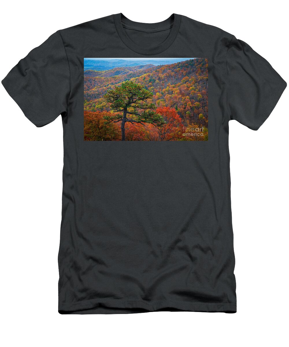 Pinnacles Overlook T-Shirt featuring the photograph Autumn Trees by Michael Ver Sprill