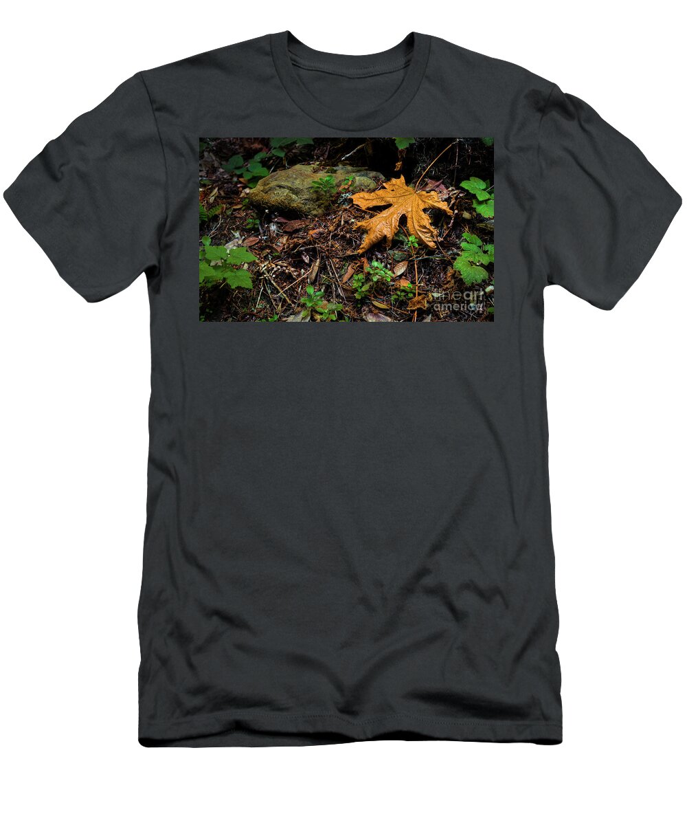 Big Leaf Maple T-Shirt featuring the photograph Autumn's Treasure by Dean Birinyi