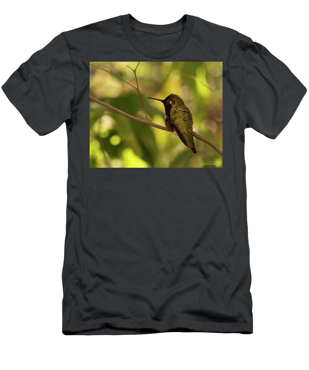 Tree T-Shirt featuring the photograph Avian-Hummingbird 2 by Sandra Nesbit