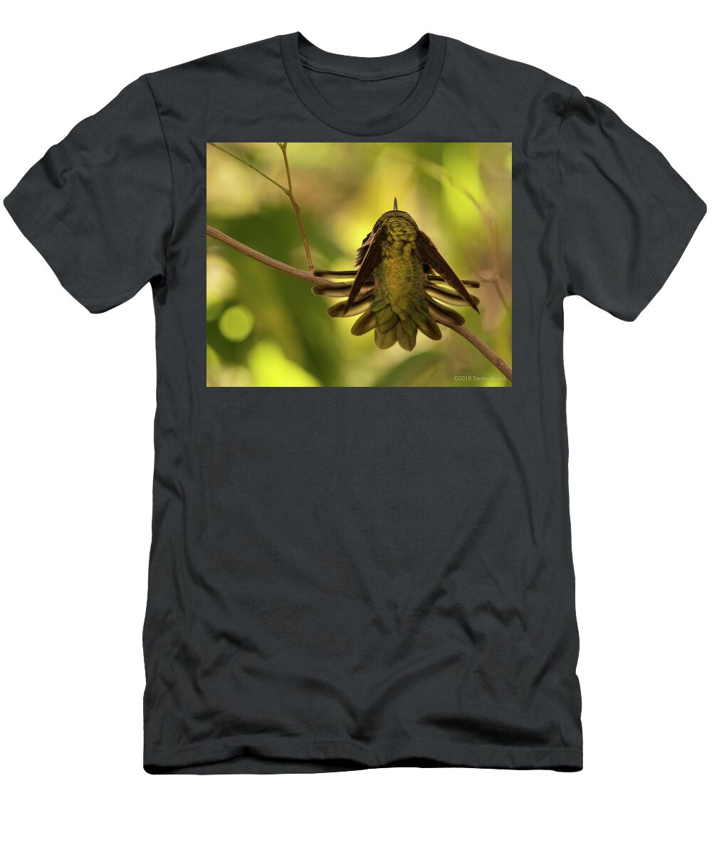 Tree T-Shirt featuring the photograph Avian-Hummingbird 3 by Sandra Nesbit