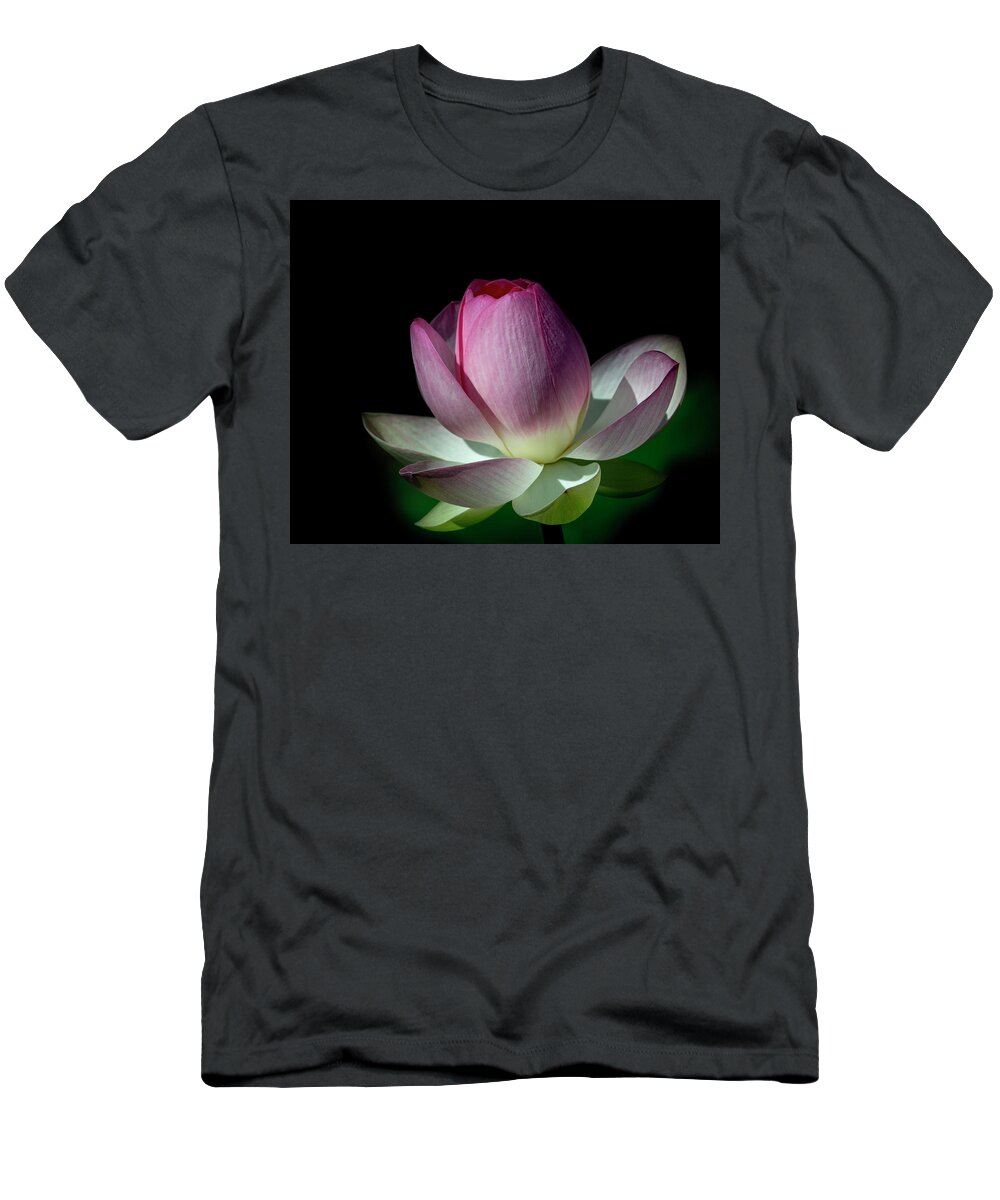 Lotus T-Shirt featuring the photograph Awakening by Richard Macquade